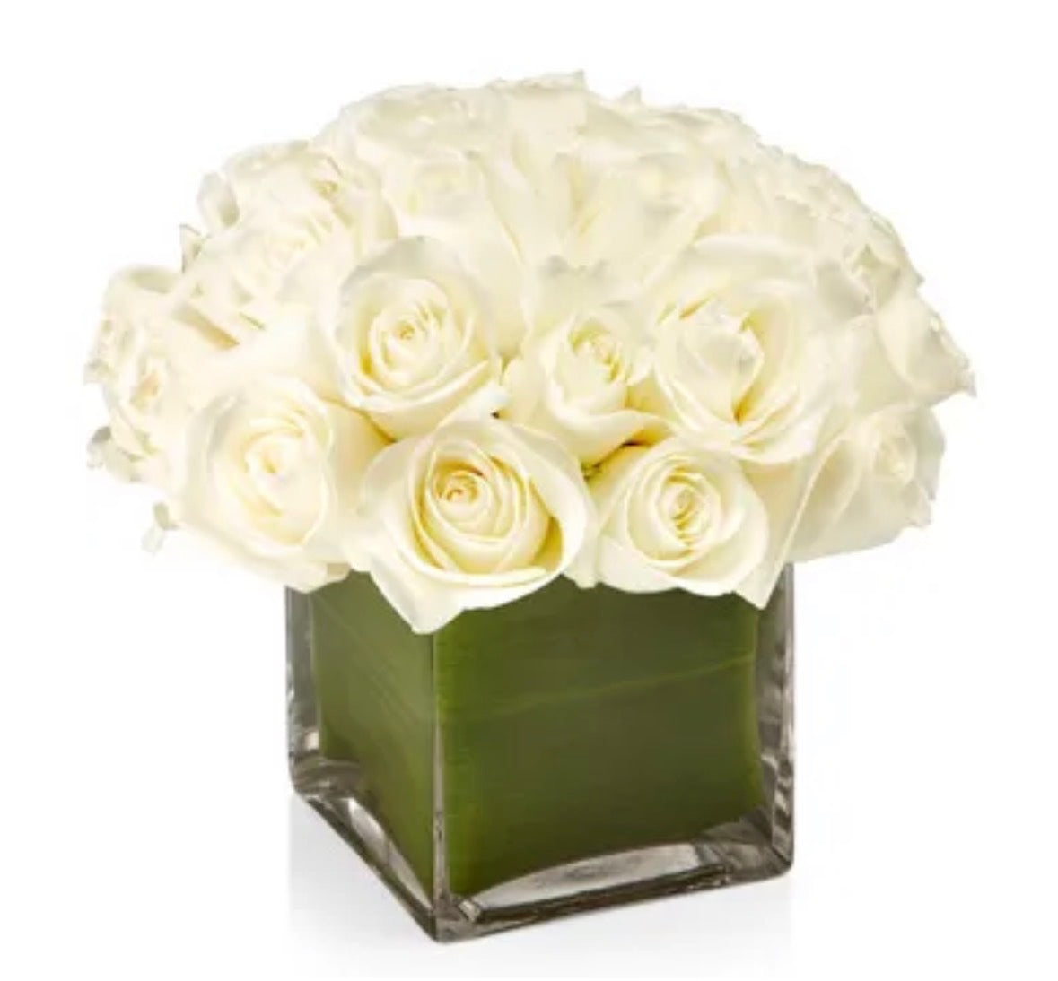 18-24 White Roses in Square Vase