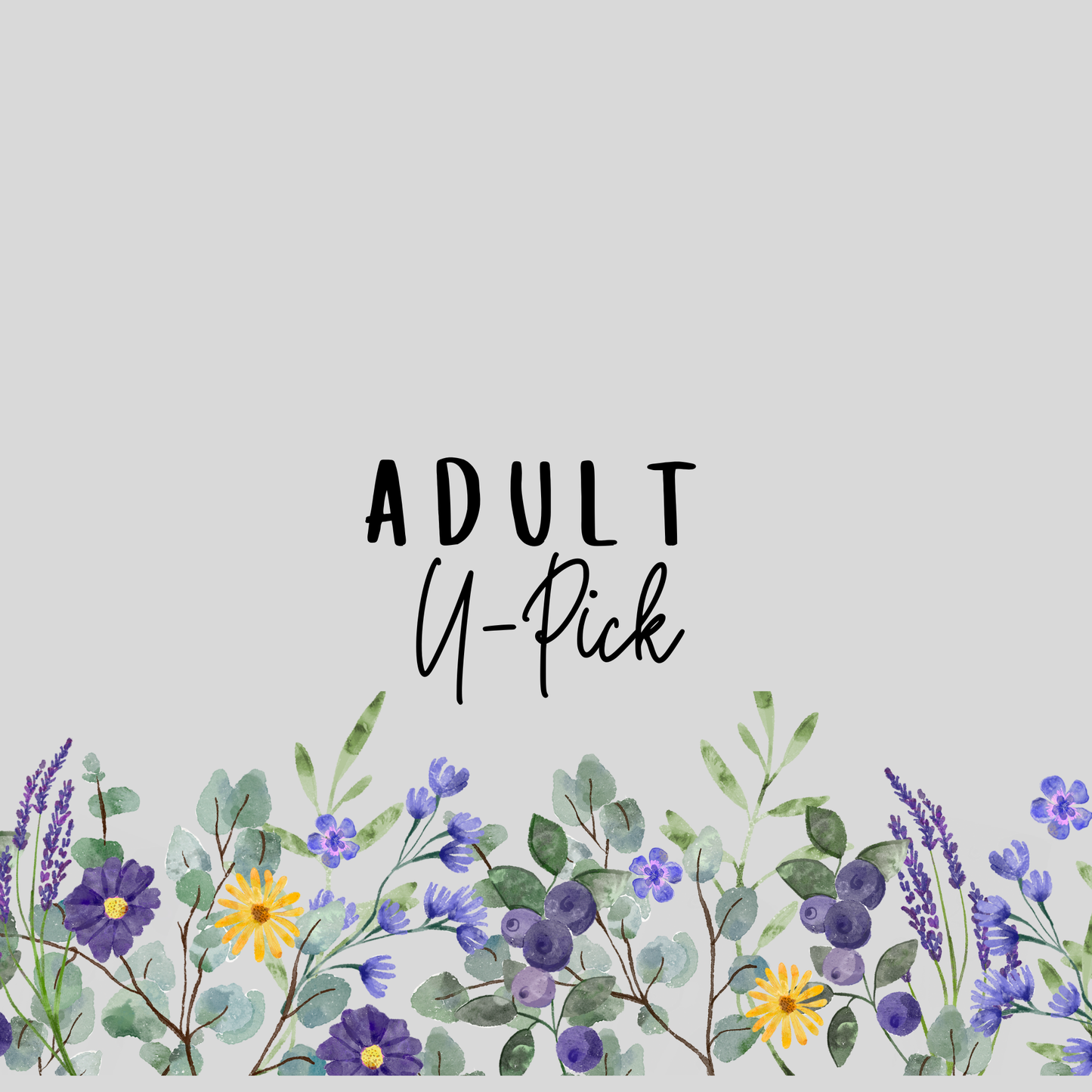 Adult Mini U-Pick - Wellness Fair Saturday, July 18th